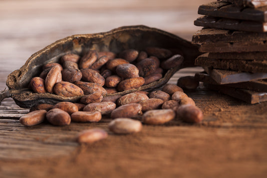 Tanzanian Cacao Nibs - Kokoa Kamili